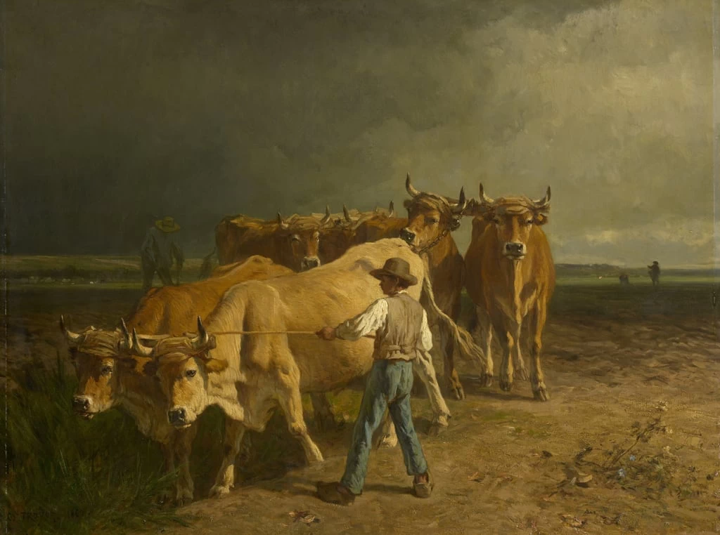 Buoi che arano - Clark Art Institute, Williamstown
